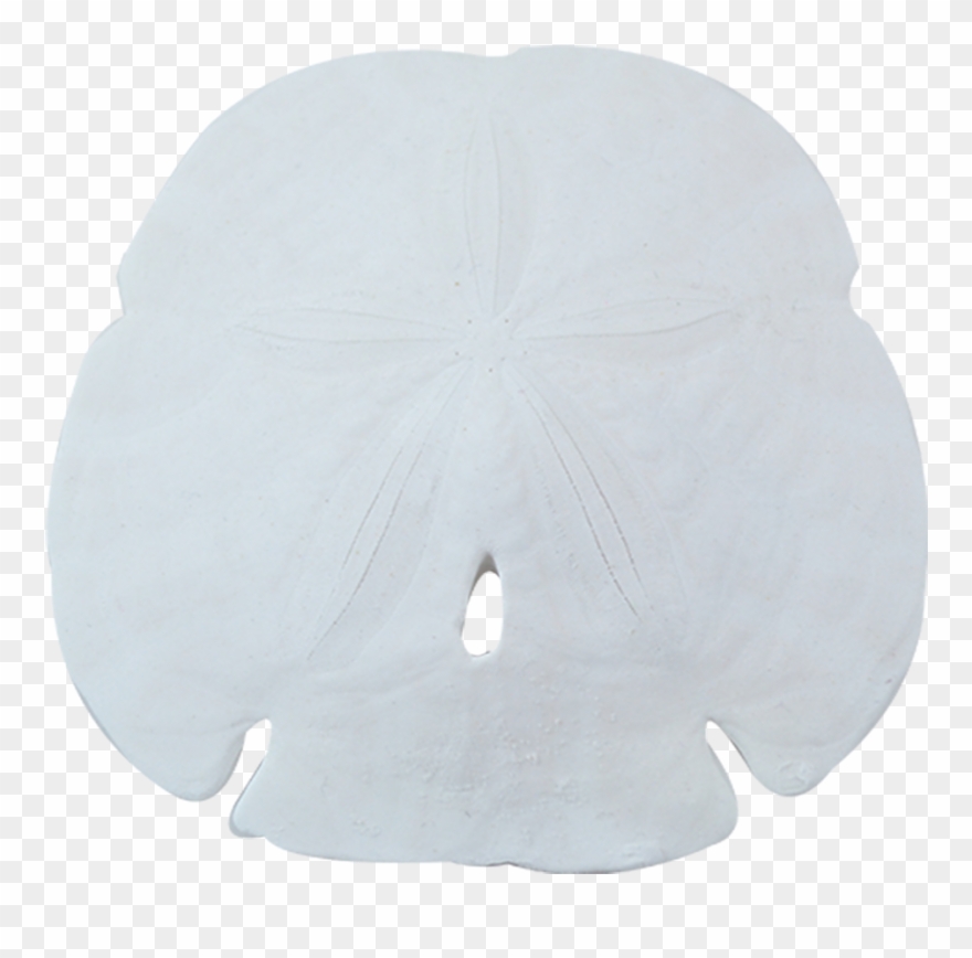 Sand Dollar Png - Sand Dollar Clipart