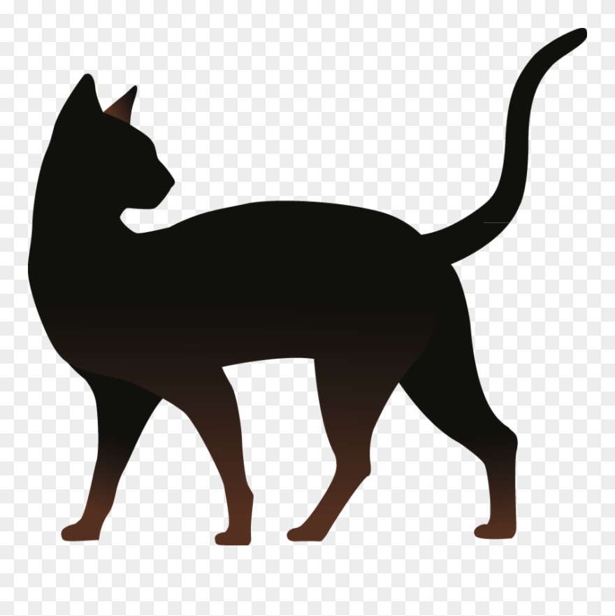 Kitten Transprent Png Free Download - 貓 Png Clipart