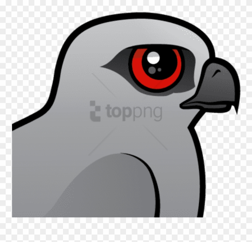 Free Png The Mississippi Kite Is A Medium Sized Bird - Cartoon Clipart