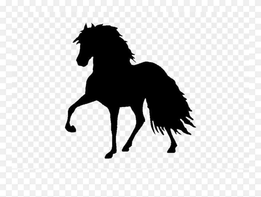 All Photo Png Clipart - Race Horse Silhouette No Background Transparent Png