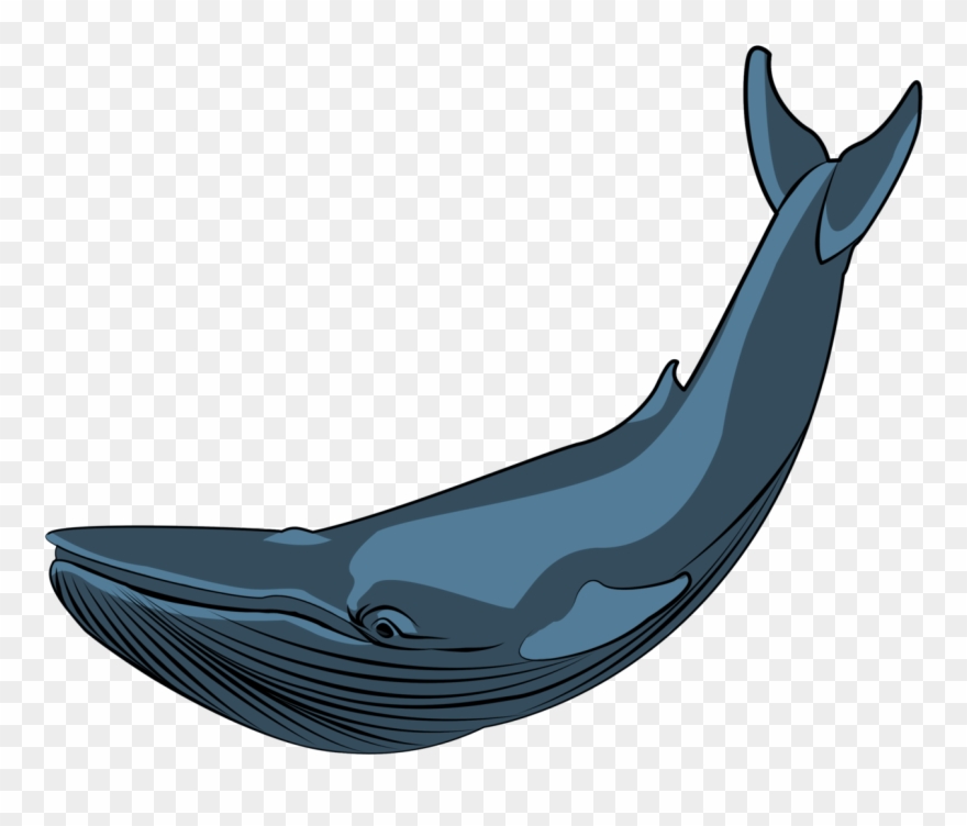 Whale Drawing Ocean - Whale Clipart