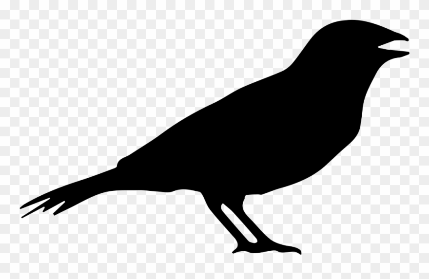 Png File Svg - Crow Clipart Transparent Png