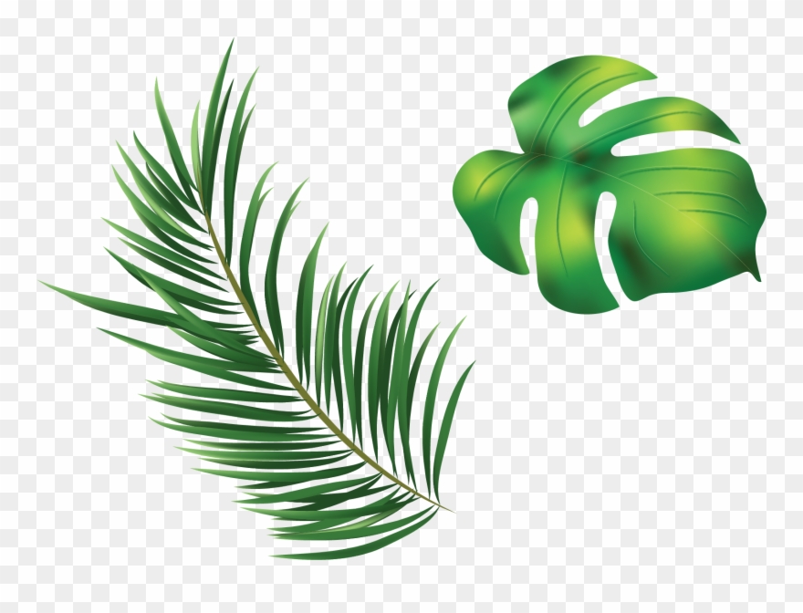 Clipart Leaves Leaves Grass - Png Download