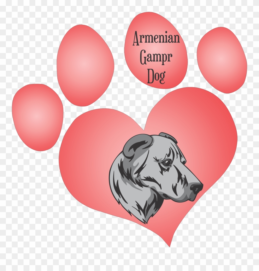 Home > Printed Decals > Dog Paw Hearts > Armenian Gampr - Love Paw Print Clipart
