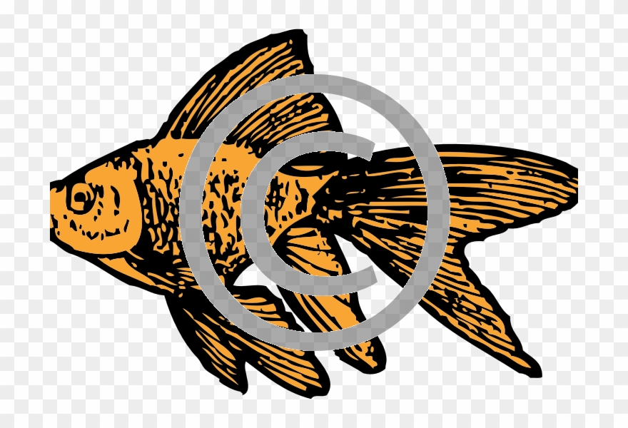 Buying Options - Black And White Clipart Goldfish - Png Download