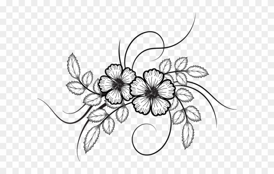 Rose Clipart Doodle - White Flower Drawing Png Transparent Png
