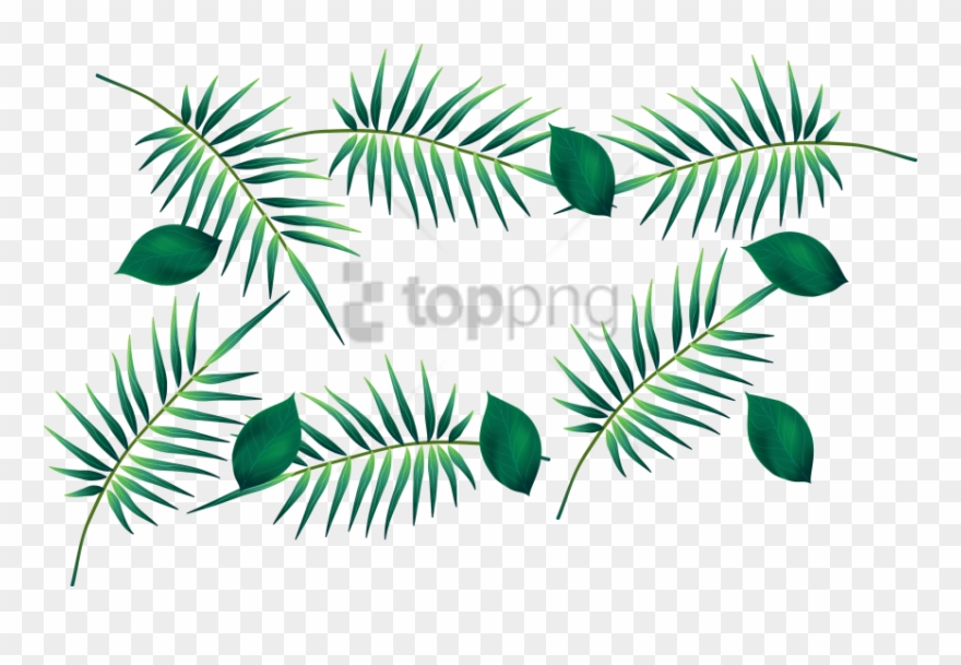 Free Png Download Palm Leaf Watercolour Transparent - ورق اخضر Png Clipart
