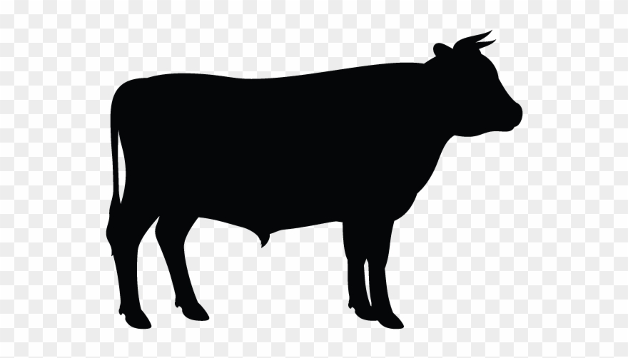 Southern Maryland Meats Beef Producers - Cow Silhouette Vector Clipart