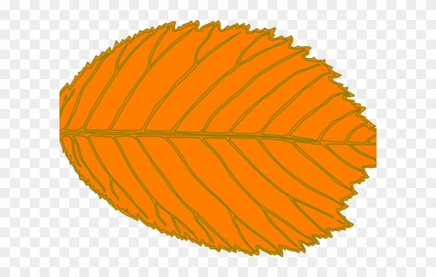 Brown Leaf Clip Art - Png Download