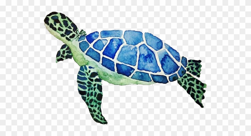 Cute Turtle Png - Sea Turtle Cushion Clipart