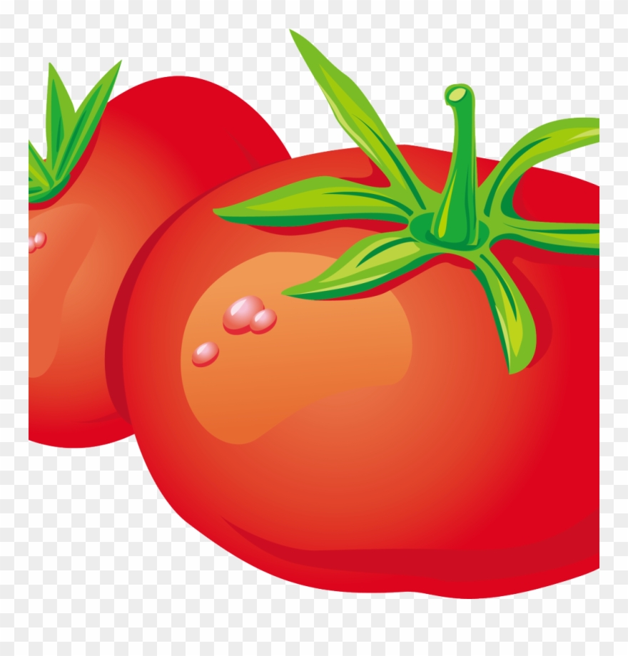 2 Tomatoes Cartoon Clipart
