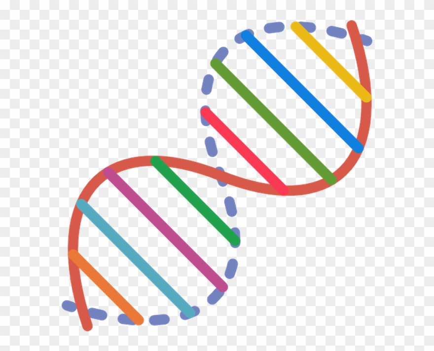 Dna Free Vector Icon Designed By Madebyoliver - Health Icon Transparent Vector Clipart
