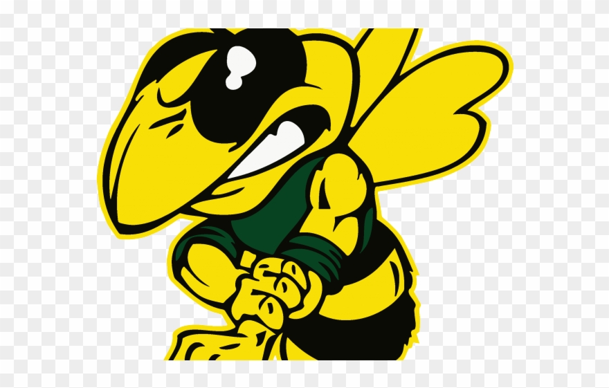 Hornet Clipart - Central High School Yellow Jackets - Png Download
