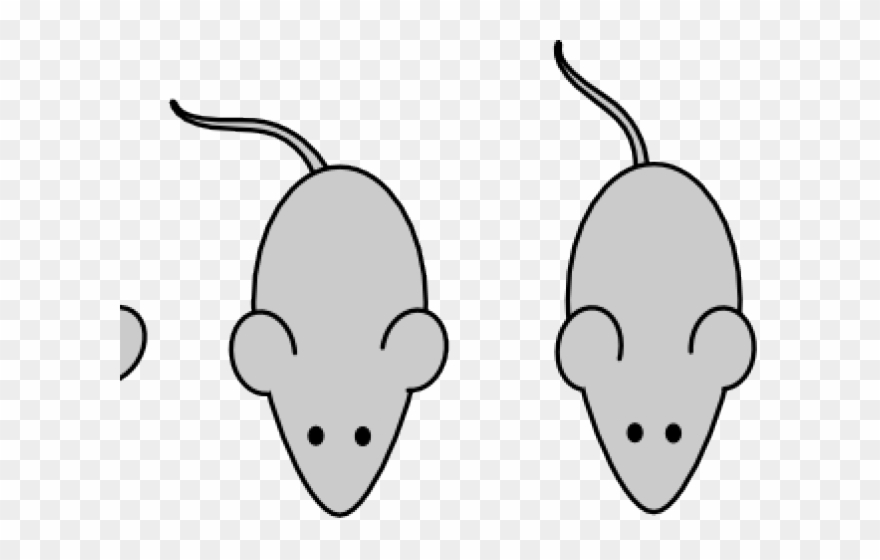 Rat Clipart Template - Png Download