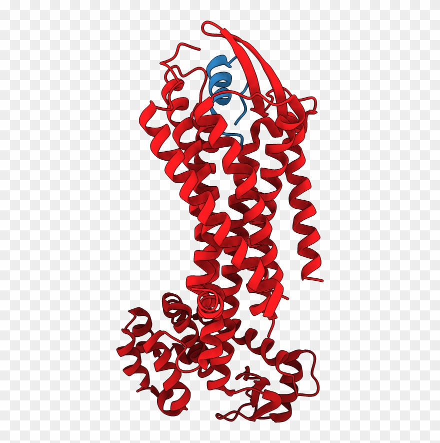 Chains Colored In Rainbow Clipart