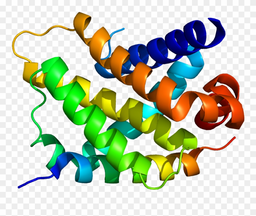 Bcl2-related Protein A1 - Graphic Design Clipart