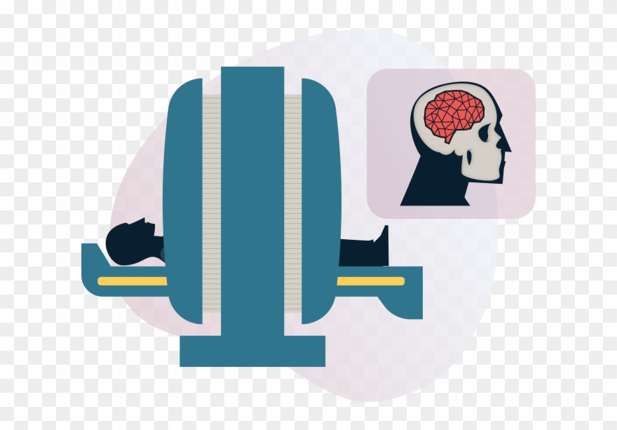 Research-based Content - Illustration Clipart