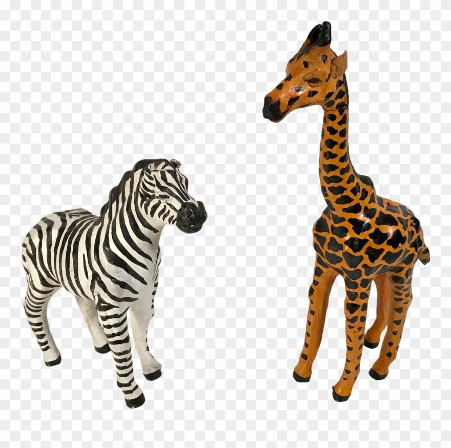 2567 X 2434 1 0 0 - Zebra Clipart