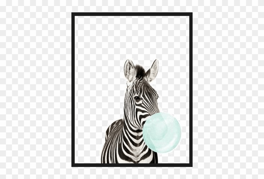 Bubble Animals Canvas Poster - Zebra Bubble Gum Art Clipart
