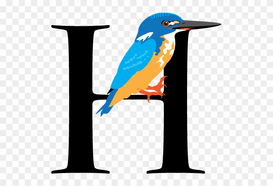 Mountain Bluebird Clipart