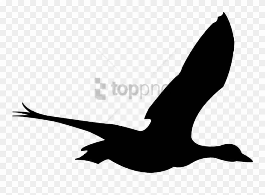 Free Png Flying Birds Animation Png Image With Transparent - Flying Bird Animation Png Clipart