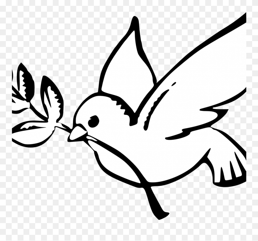 Draw A Dove Easy Clipart