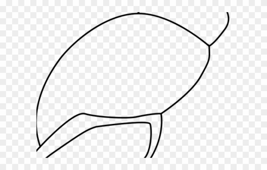 Shell Clipart Sea Wallpaper - Line Art - Png Download