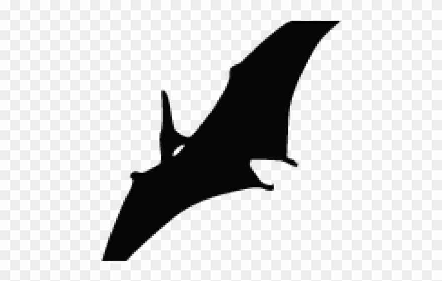 Pteranodon Clipart Black And White - Pterosaurs - Png Download