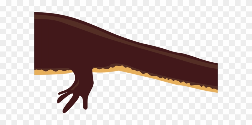 Salamander Clipart Newt - Salamandras Anfibios Png Transparent Png