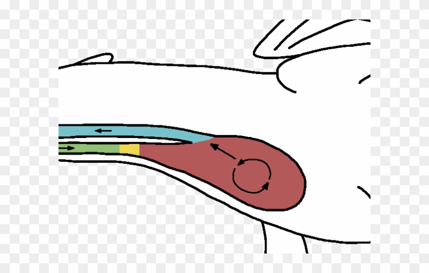 Pebble Clipart Row - Illustration - Png Download