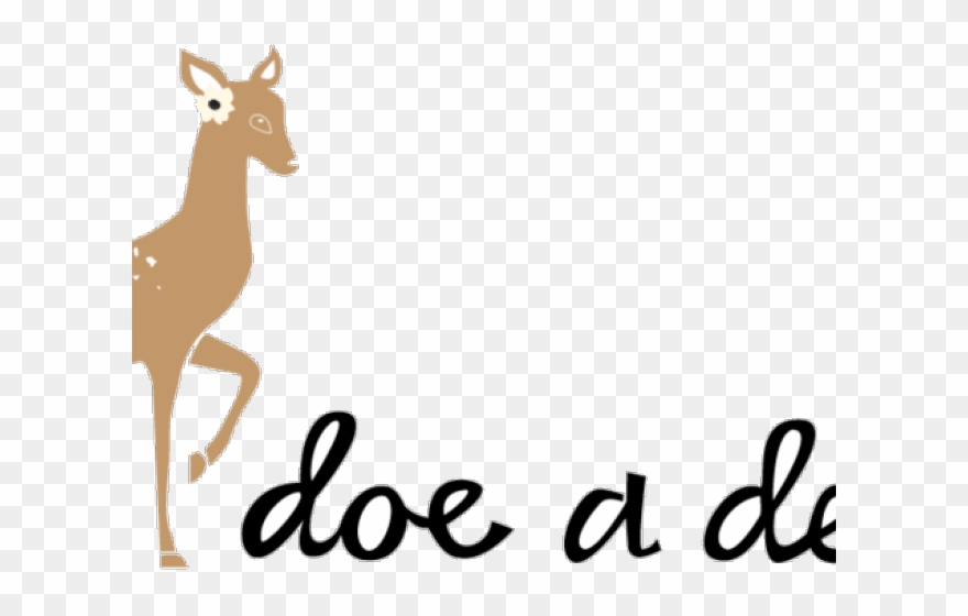 Dear Clipart Doe - Roe Deer - Png Download