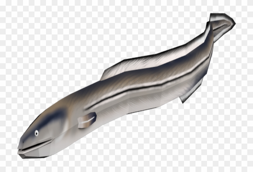 Transparent Eel - Poly - Ammunition Clipart