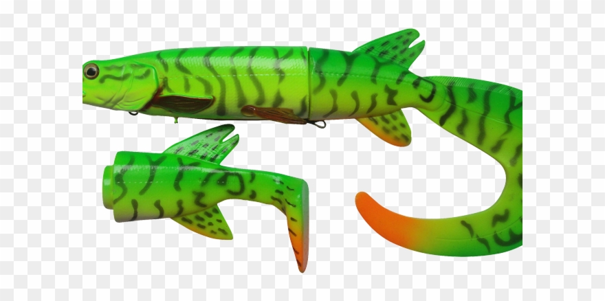 Eel Clipart Baby - Reptile - Png Download
