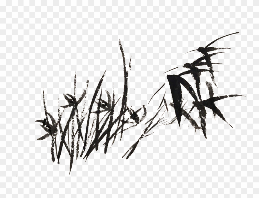 Drawing Chinese Nature - 竹林 墨 Clipart