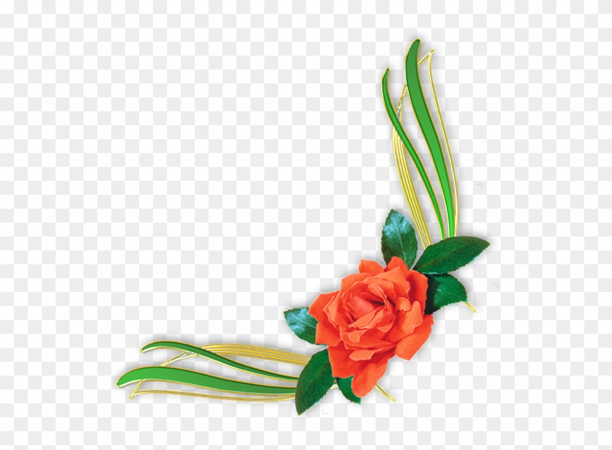 Flower Portable Rose Design Graphics Floral Border - 花边 边框 Clipart