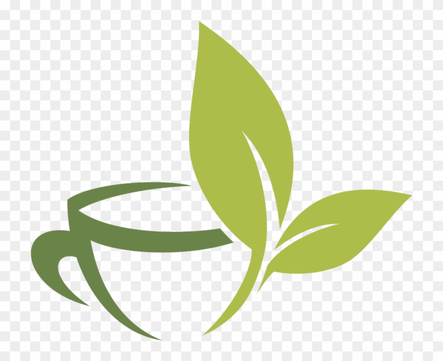 And Fuding Cup Tea Material Infusion Vector - Tea Leaf Logo Png Clipart