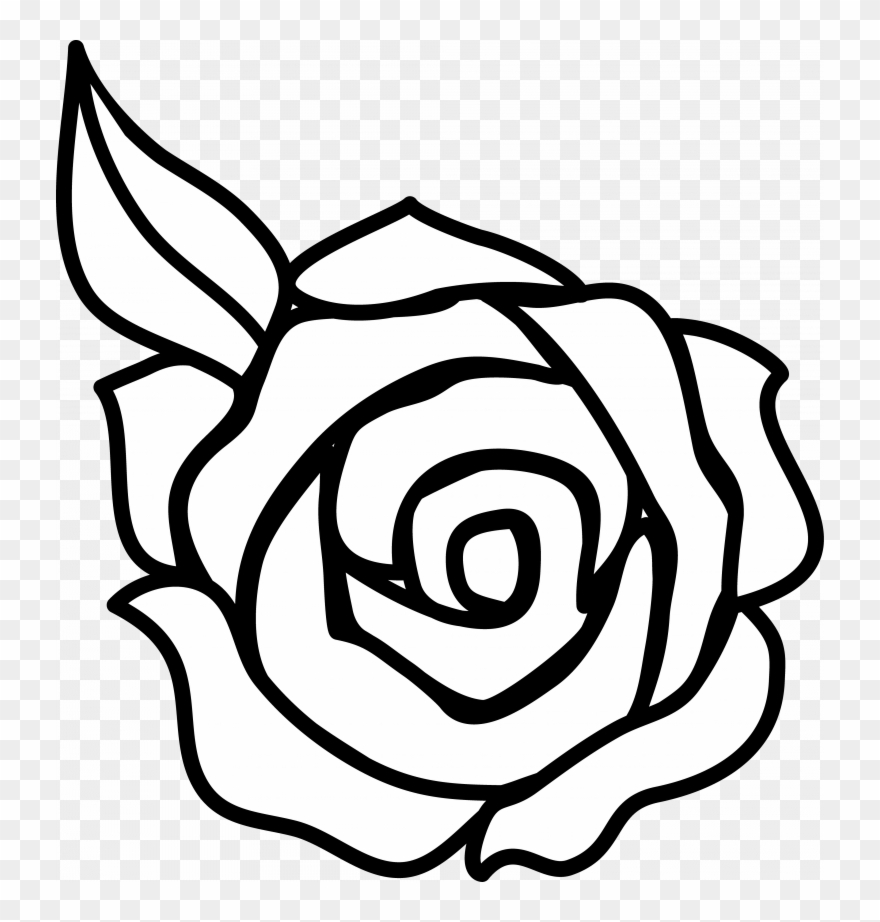 Download Rose Clip Art - Beginner Rose Drawing Easy - Png Download