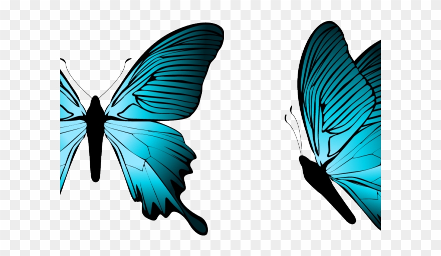 Light Blue Clipart Butterfly - Transparent Butterfly Blue Clipart - Png Download