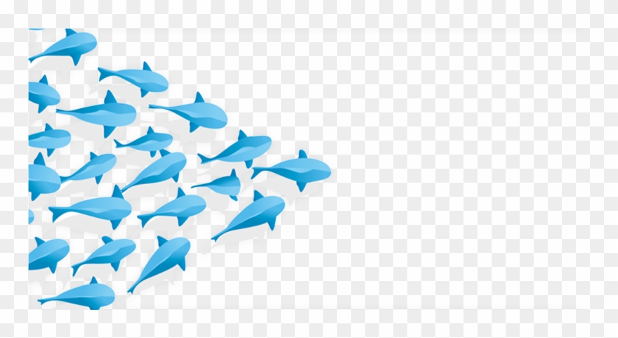 Apr - Transparent School Of Fish Clipart