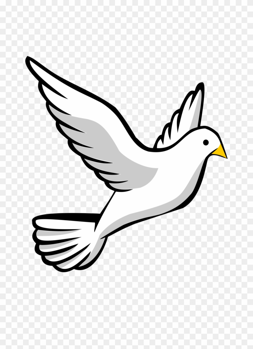 How To Draw A Bird Easy Wing With Oil Pastels - Flying Bird Drawing Easy Clipart