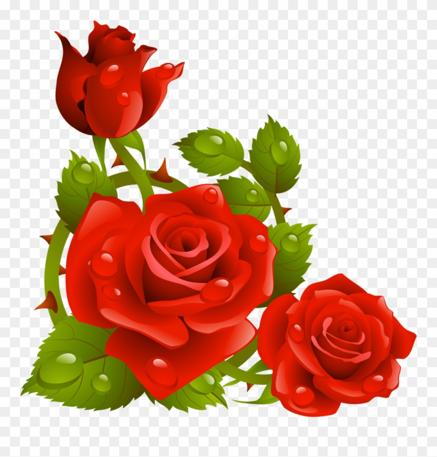 Фото, Автор K - Clip Art Borders Flowers Rose - Png Download