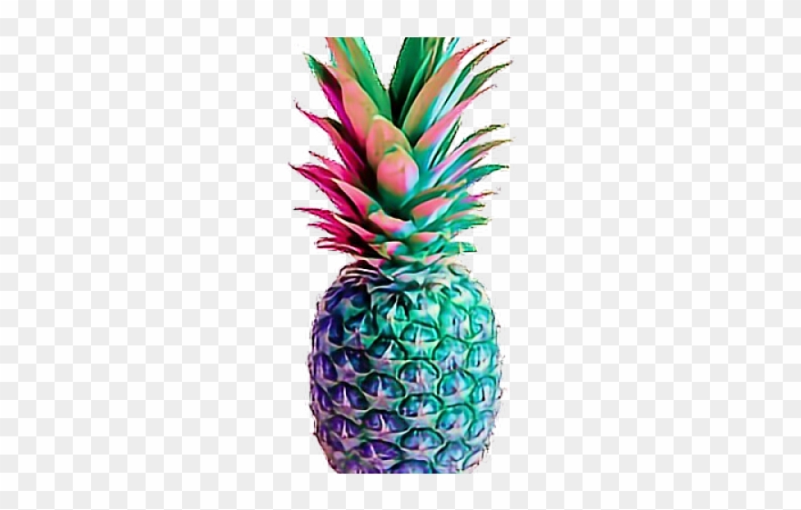 Rainbow Pineapple Clipart