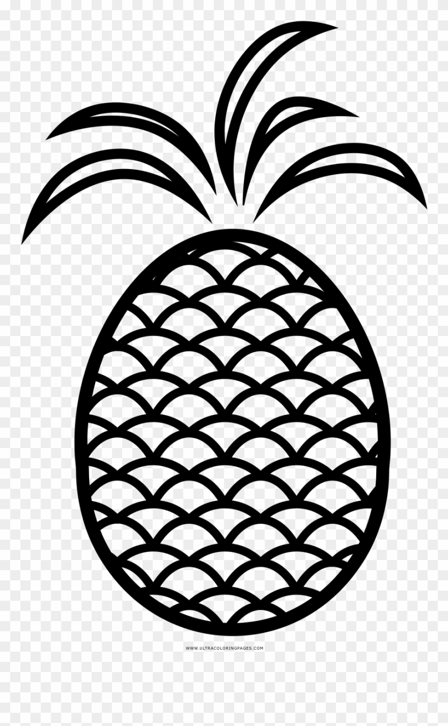 Pineapple Coloring Page - Illustration Clipart
