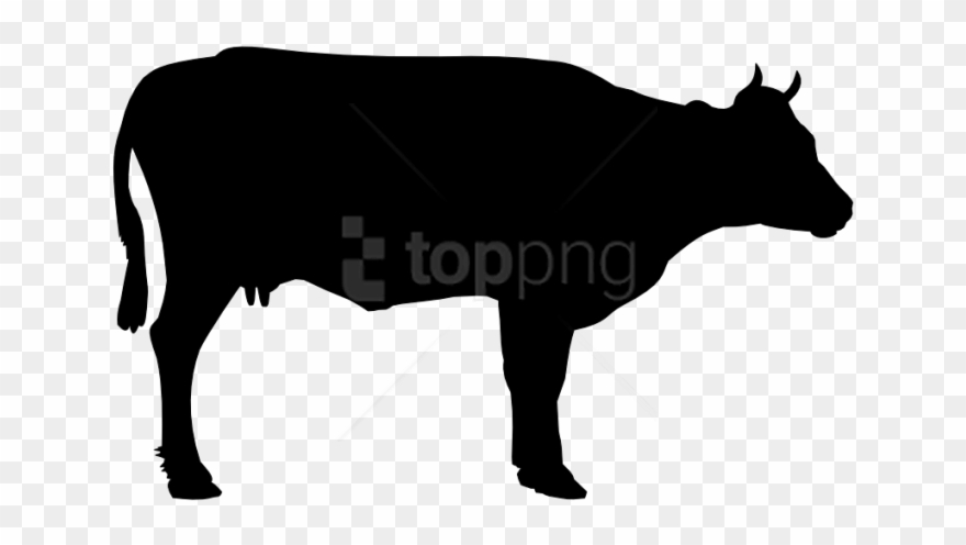 Free Png Download Cow Png Images Background Png Images - Cow Black Clip Art Transparent Png