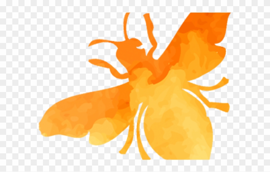 Pollination Clipart Bee Garden - Illustration - Png Download