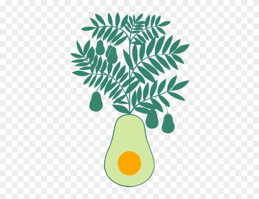 Our Avocados - Illustration Clipart