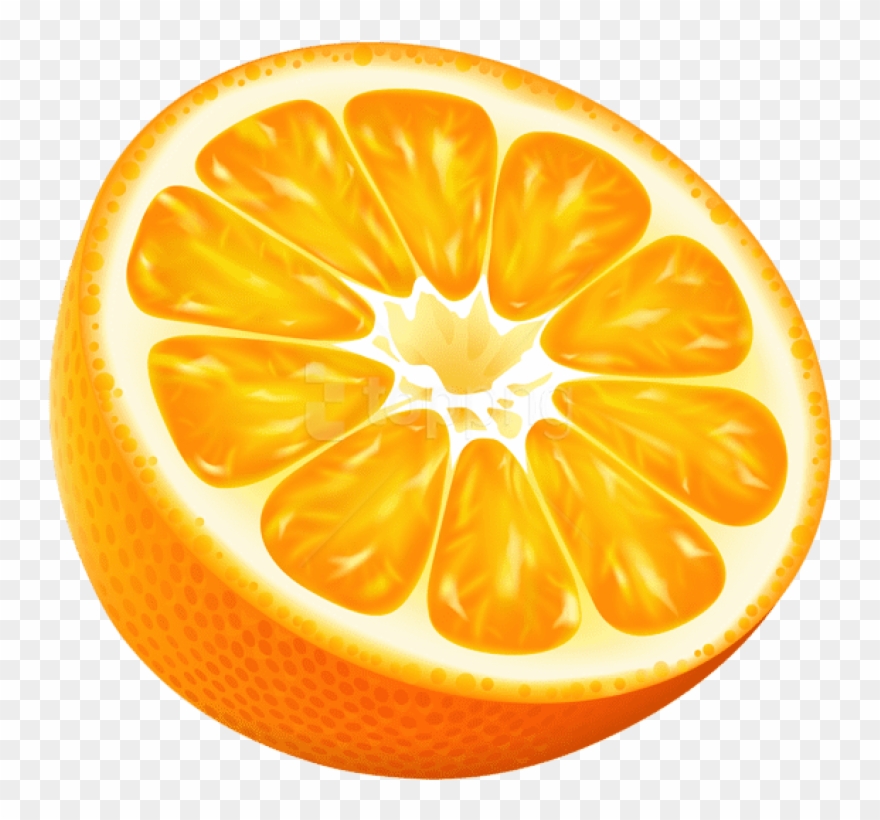 Free Png Half Orange Png Vector Png - Sliced Oranges Vector Clipart