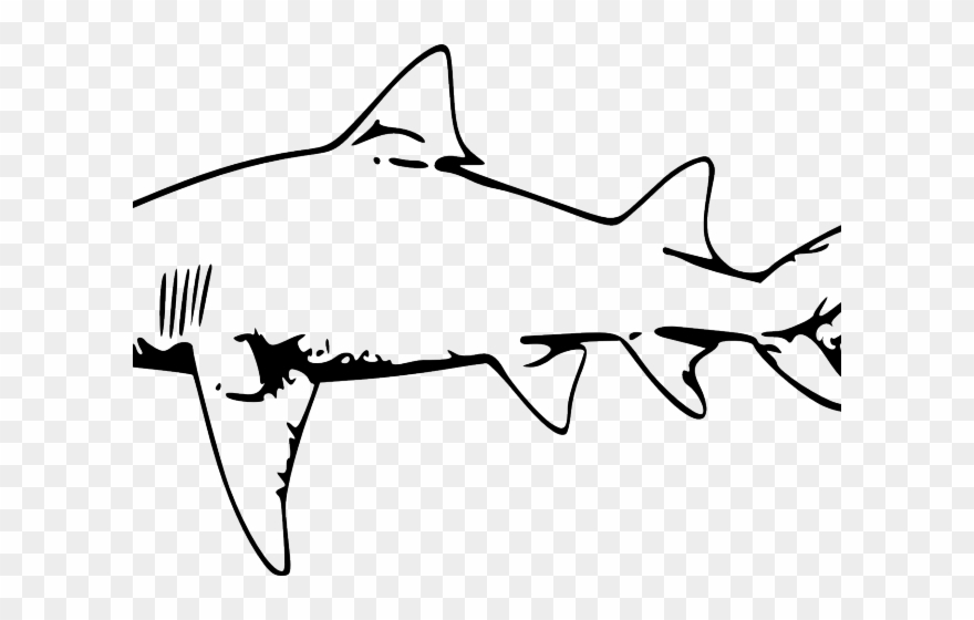Cliparts Black And White Shark - Png Download