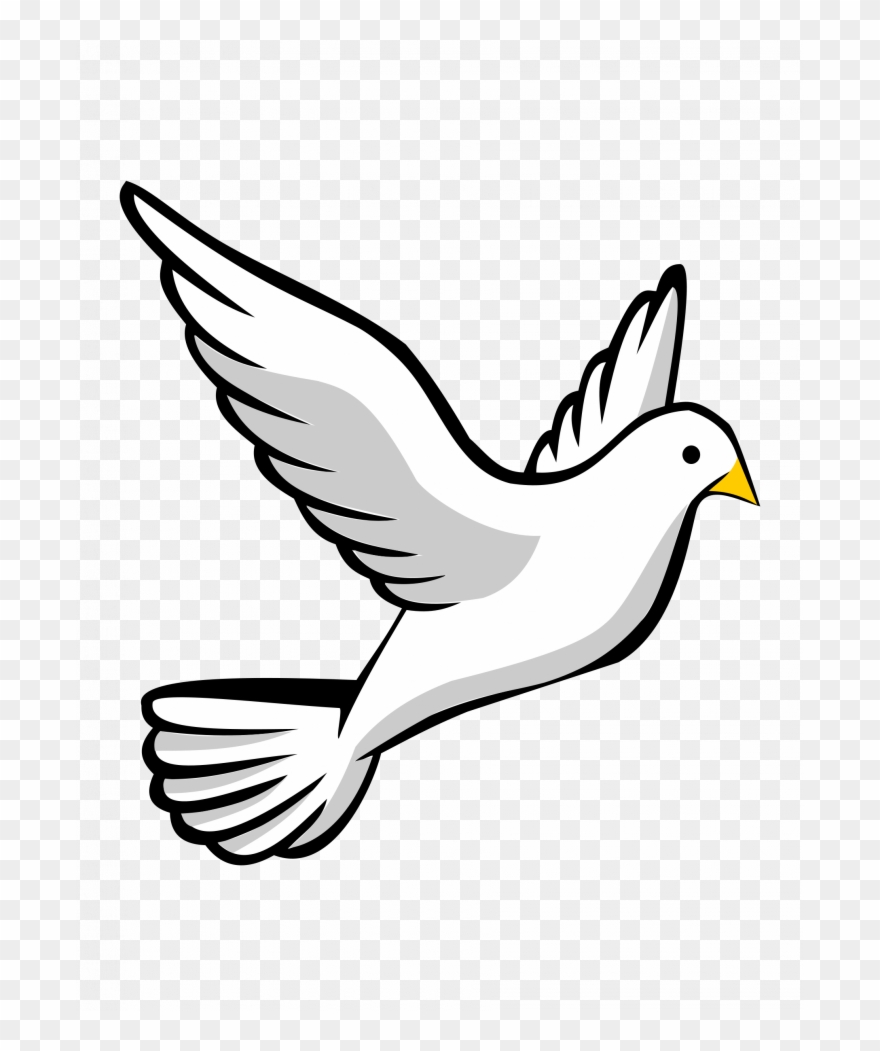 Medium Size Of How To Draw A Bird Wikihow Simple Drawing - Flying Bird Drawing Easy Clipart