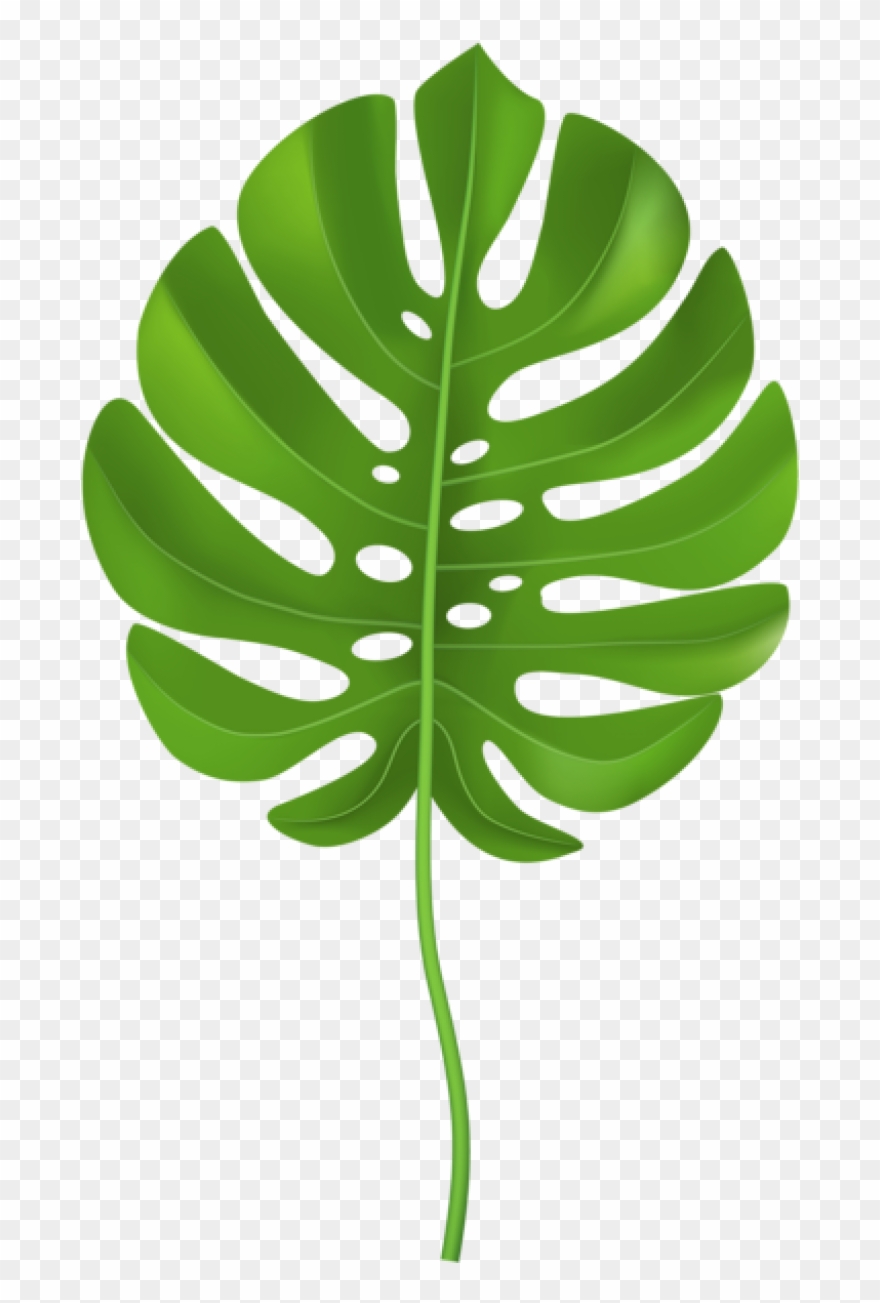 Jungle Leaves Clipart - Palm Leaf Clipart Transparent - Png Download